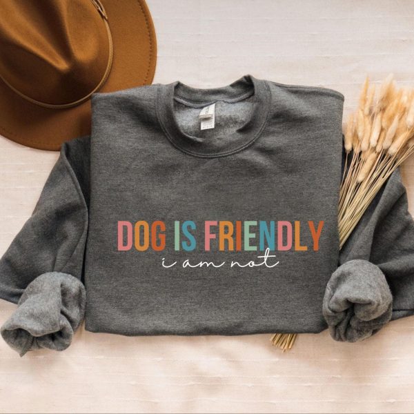 Dog Is Friendly Sweater V2